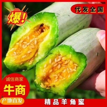 山东羊角蜜，货源充足小工专业，支持各大市场