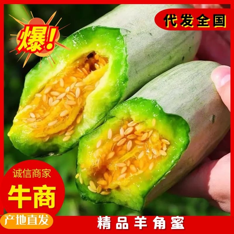 山东羊角蜜甜瓜羊角蜜博洋91博洋61蜜源18绿宝