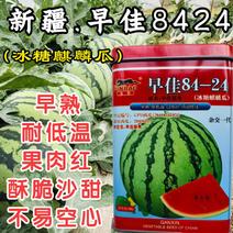 早佳8424西瓜种子，冰糖麒麟西瓜，早熟抗病，耐低温