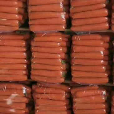 【推荐】品质胡萝卜🥕三红胡萝卜产地直发品质保证