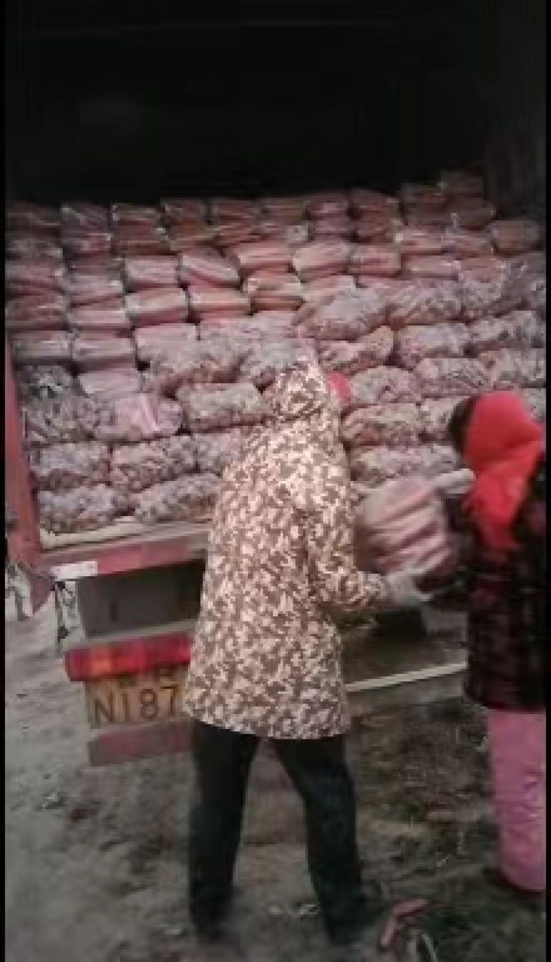 【推荐】品质胡萝卜🥕三红胡萝卜产地直发品质保证