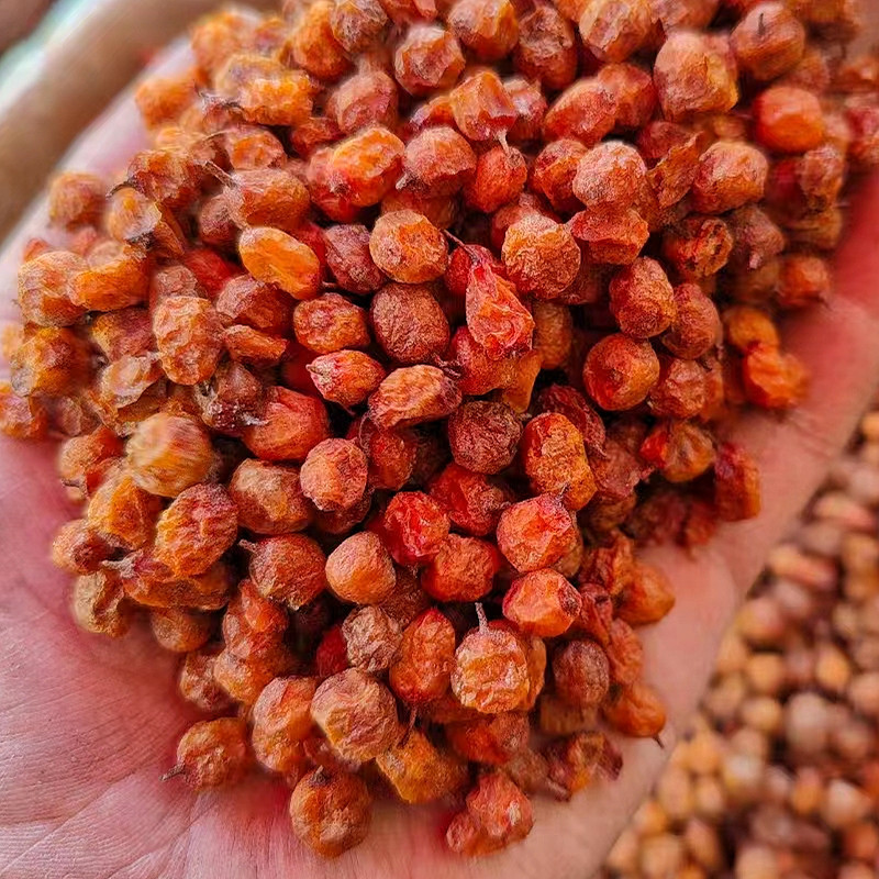 沙棘果干新疆特产大颗粒饱满肉厚新货包邮批发