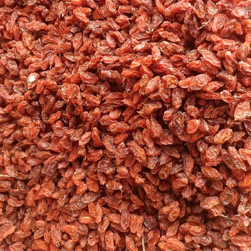 沙棘果干新疆特产大颗粒饱满肉厚新货包邮批发
