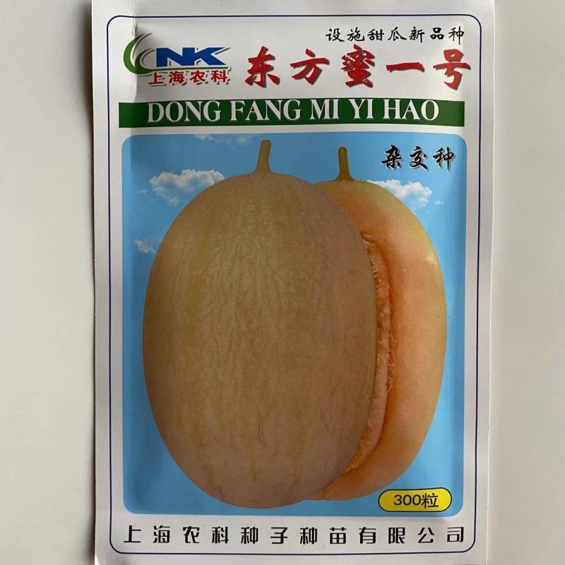东方蜜一号甜瓜种子，果实椭圆，白皮带细纹，果肉橙红，多汁