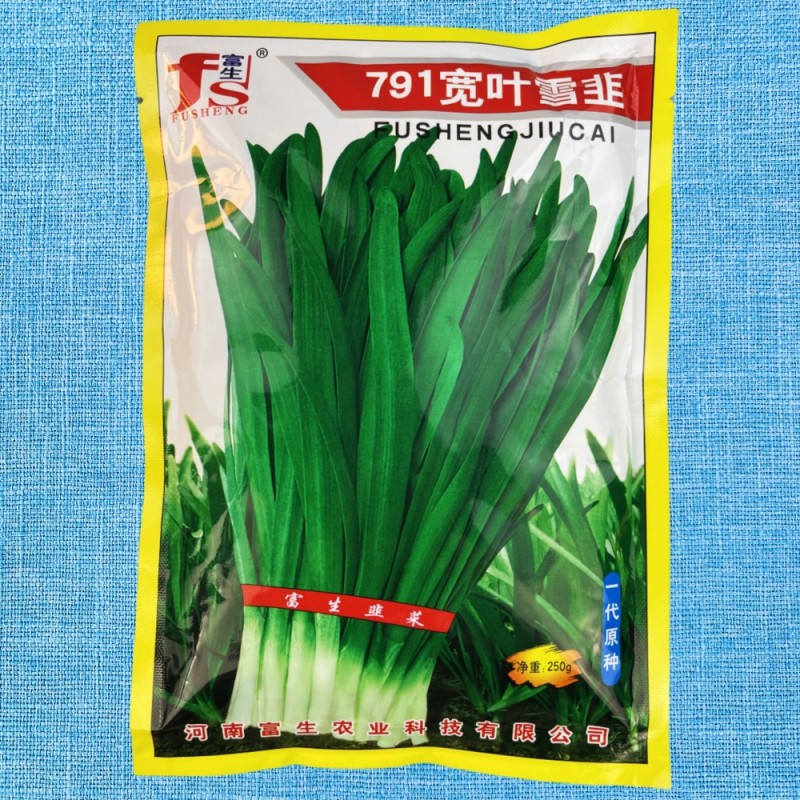 791宽叶雪韭种子，白根雪韭，叶色绿厚，耐低温，抗病