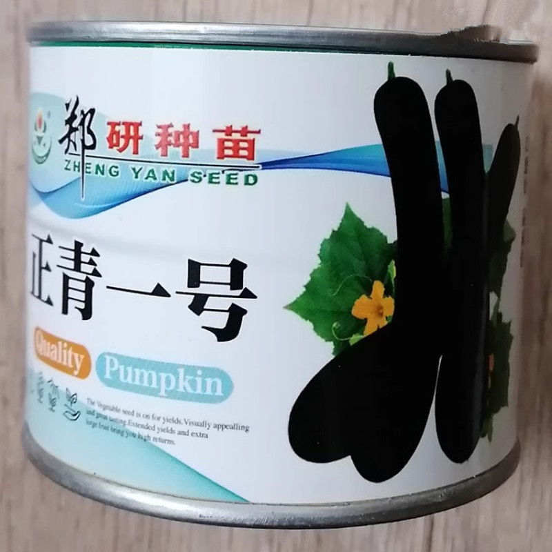 黑皮长南瓜种子，瓜条黑绿，菜用南瓜品种，早熟抗病，基地用