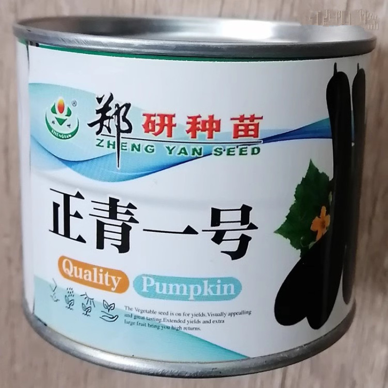 黑皮长南瓜种子，瓜条黑绿，菜用南瓜品种，早熟抗病，基地用