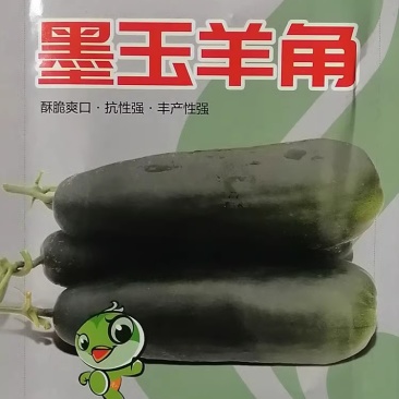 墨玉羊角蜜种子，酥脆爽口，黑皮羊角脆瓜，皮墨绿，抗病