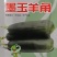 墨玉羊角蜜种子，酥脆爽口，黑皮羊角脆瓜，皮墨绿，抗病