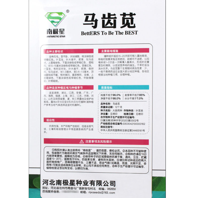 荷兰马齿苋种子直立马齿汗马蜂菜四季种植生长速度快耐热