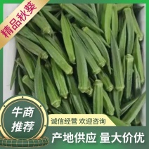 【箱装秋葵】精品秋葵，量大从优，全国发货，欢迎来电