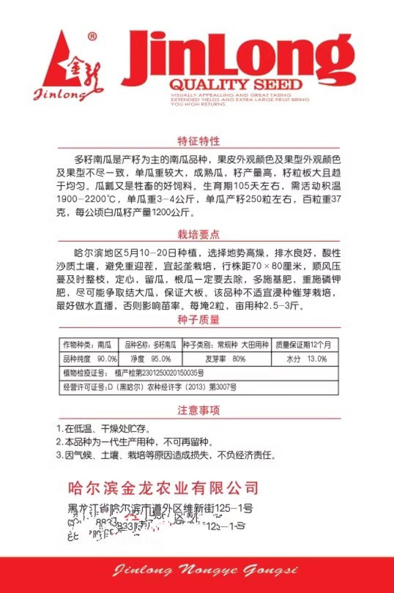多籽南瓜种子，产籽南瓜，白南瓜籽，籽粒板大均匀，基地种植