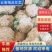 【精品】花菜花菜，产地一手货源，质量保证，欢迎来电咨询合作
