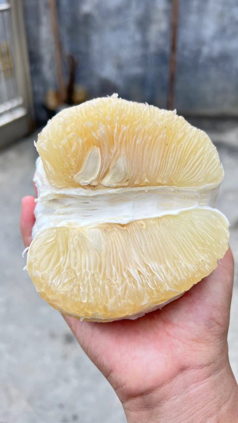 【有好货】梅州沙田柚、皮色好、果形正、甜度高一件5斤