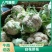 陕西菜花，白花花菜，汉中菜花1~3斤紧花瓷实乳白来电优惠