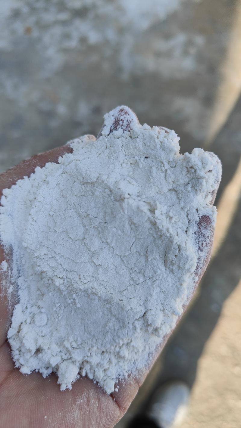 无添加剂面粉山东济宁面粉厂一手货源厂家直发量大从优