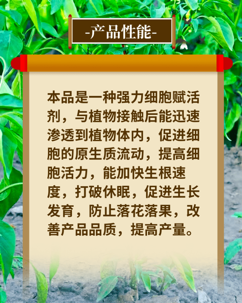 1.8%复硝酚钠调节生长保花保果增产增收农用生长调节剂