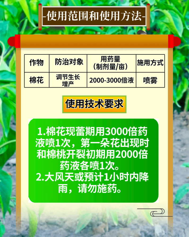 1.8%复硝酚钠调节生长保花保果增产增收农用生长调节剂