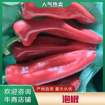 【自然成熟】山东鲜辣椒青州泡椒大棚种植品质保证欢迎咨询