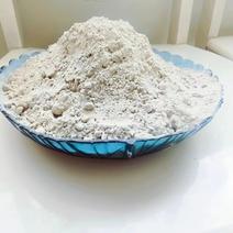 陕西汉中大量淀粉，蕨根粉供应保质保量量大从优价格美丽欢迎