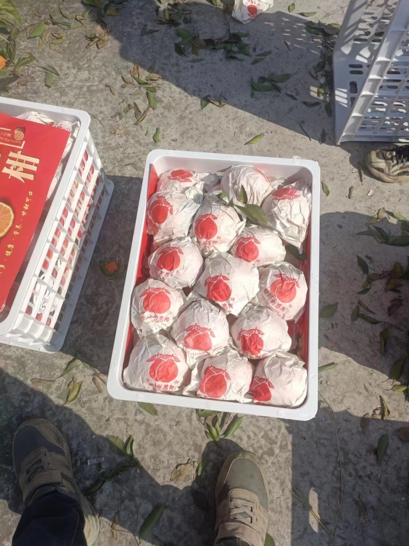 四川粑粑柑高山货，味道甜，细皮，化渣，爆汁，果面干净，，
