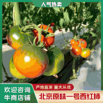 【牛商推荐】西红柿北京密云原味一号西红柿风味独特欢迎选购