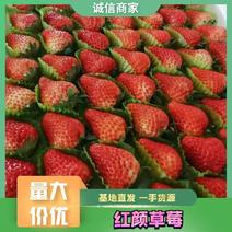 安徽精品红颜草莓一手货源品质保证诚信经营香甜可口欢迎来电