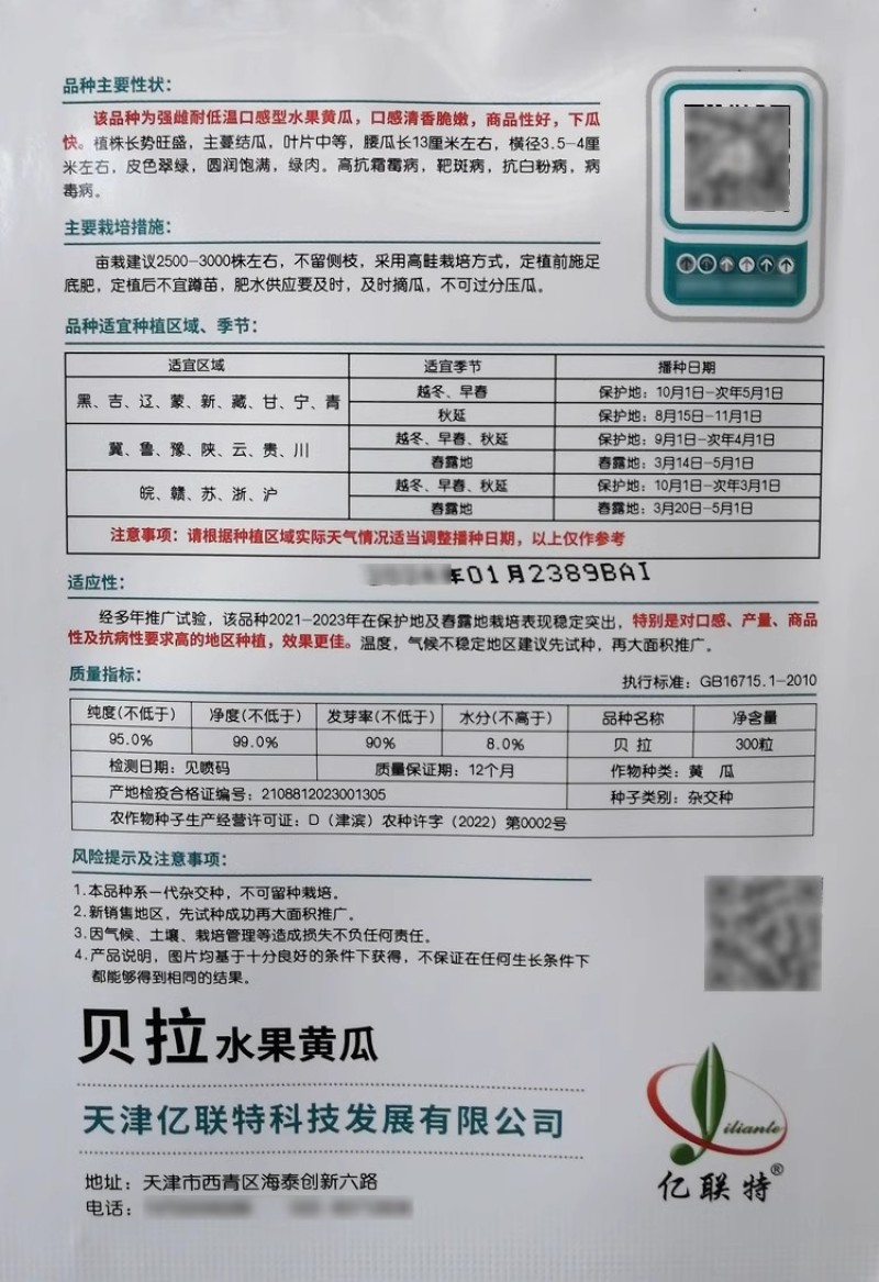 贝拉水果黄瓜种子，耐低温，强雌口感型，春秋棚，春露地专用