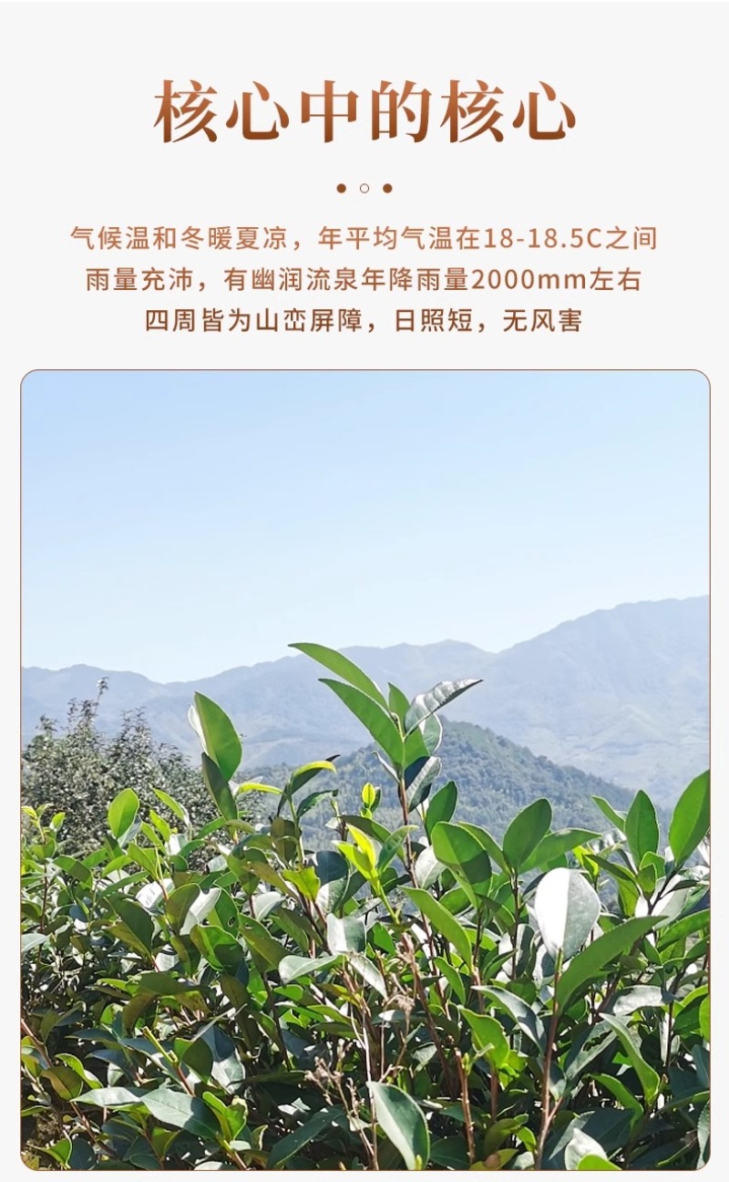 正岩岩韵水仙武夷岩茶茶叶大红袍乌龙茶浓香型古法炭焙礼盒装