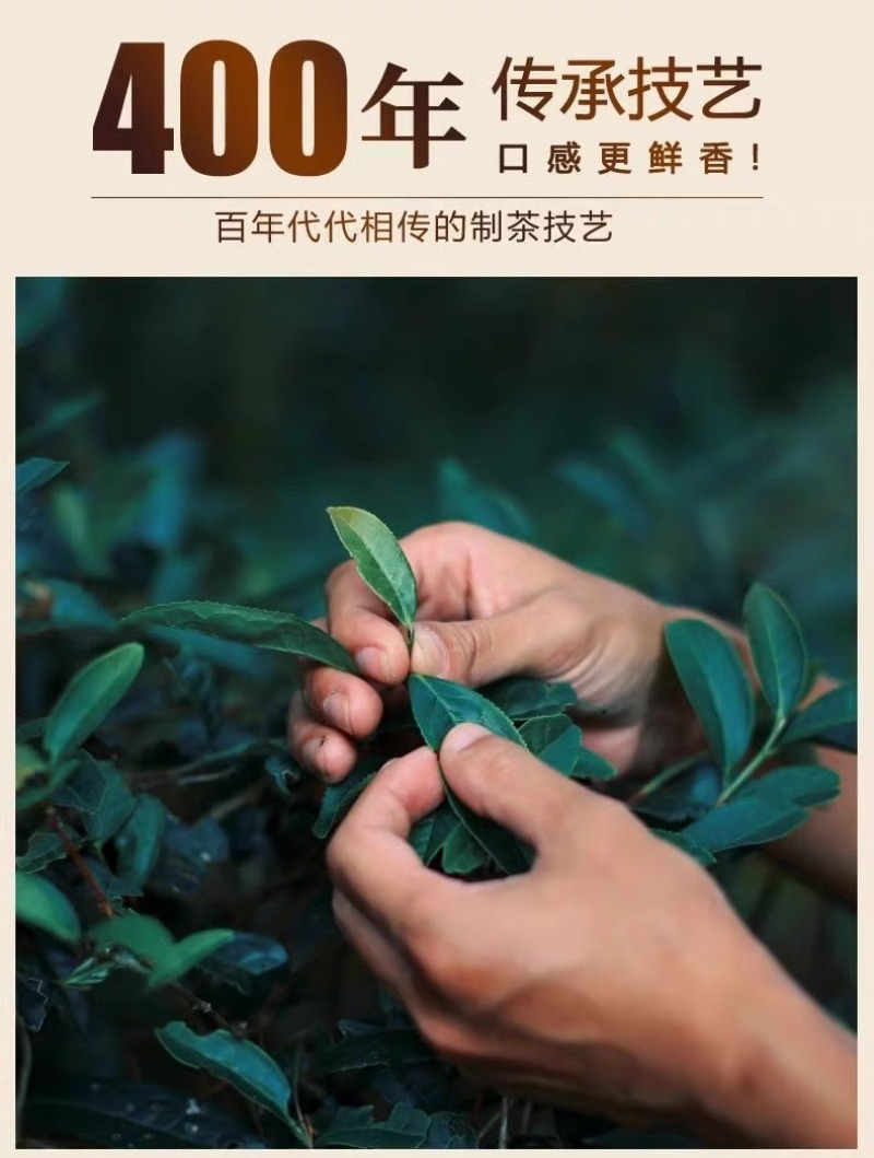 大红袍武夷山正岩肉桂茶武夷岩茶大红袍乌龙茶茶叶浓香型礼盒