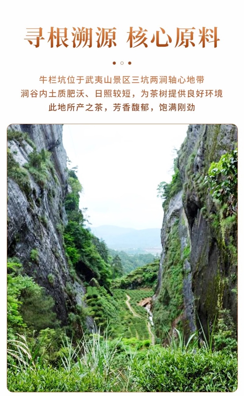 牛栏坑正岩肉桂茶武夷岩茶大红袍乌龙茶茶叶浓香型礼盒装