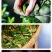 牛栏坑正岩肉桂茶武夷岩茶大红袍乌龙茶茶叶浓香型礼盒装