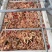 鸡肠饲料鸡肠养殖可用对接渔场品质保证欢迎电联