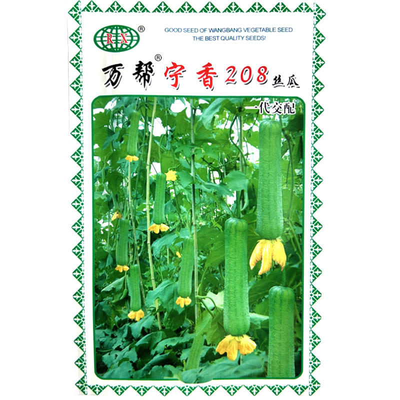 万帮宁香208丝瓜种子早熟高产短棒型清香肉丝瓜种