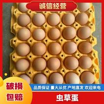 【推荐】鸡蛋优质富硒黑凤鸡蛋量大从优口感好欢迎选购