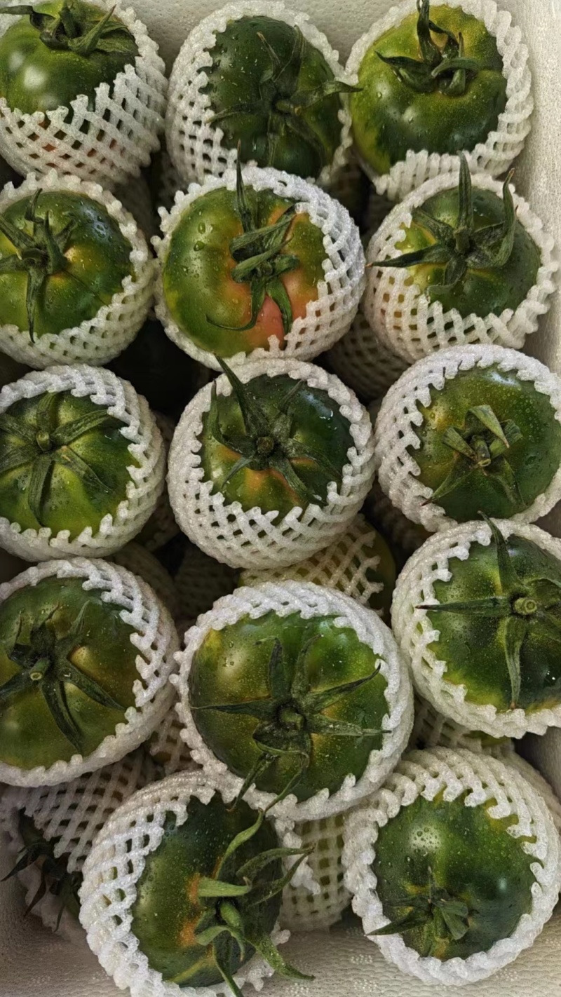 【脆甜】草莓西红柿福建新鲜西红柿番茄量大从优欢迎选购