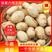 云南红河精品土豆丽薯六号土豆，产地货源，对接大型批发商