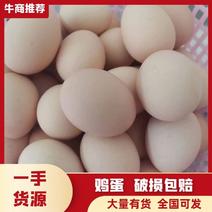 安徽土鸡蛋草鸡蛋规格齐全品质保证欢迎咨询