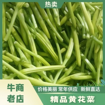 精品黄花菜大量上市诚信经营一手货源品质保证欢迎来电采购