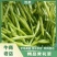 精品黄花菜大量上市诚信经营一手货源品质保证欢迎来电采购