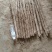 【保质】河北保定精品山药大量上市质优价廉欢迎合作