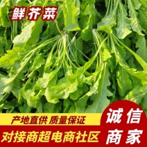 【热卖】河南鲜荠菜，棒棒菜大量上市常年供应欢迎咨询