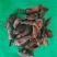 厚朴花品种齐全批发零售