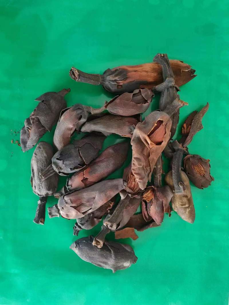 厚朴花品种齐全批发零售