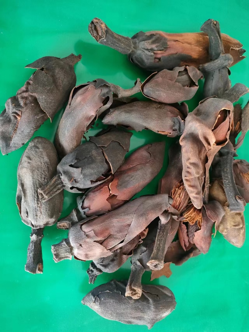 厚朴花品种齐全批发零售