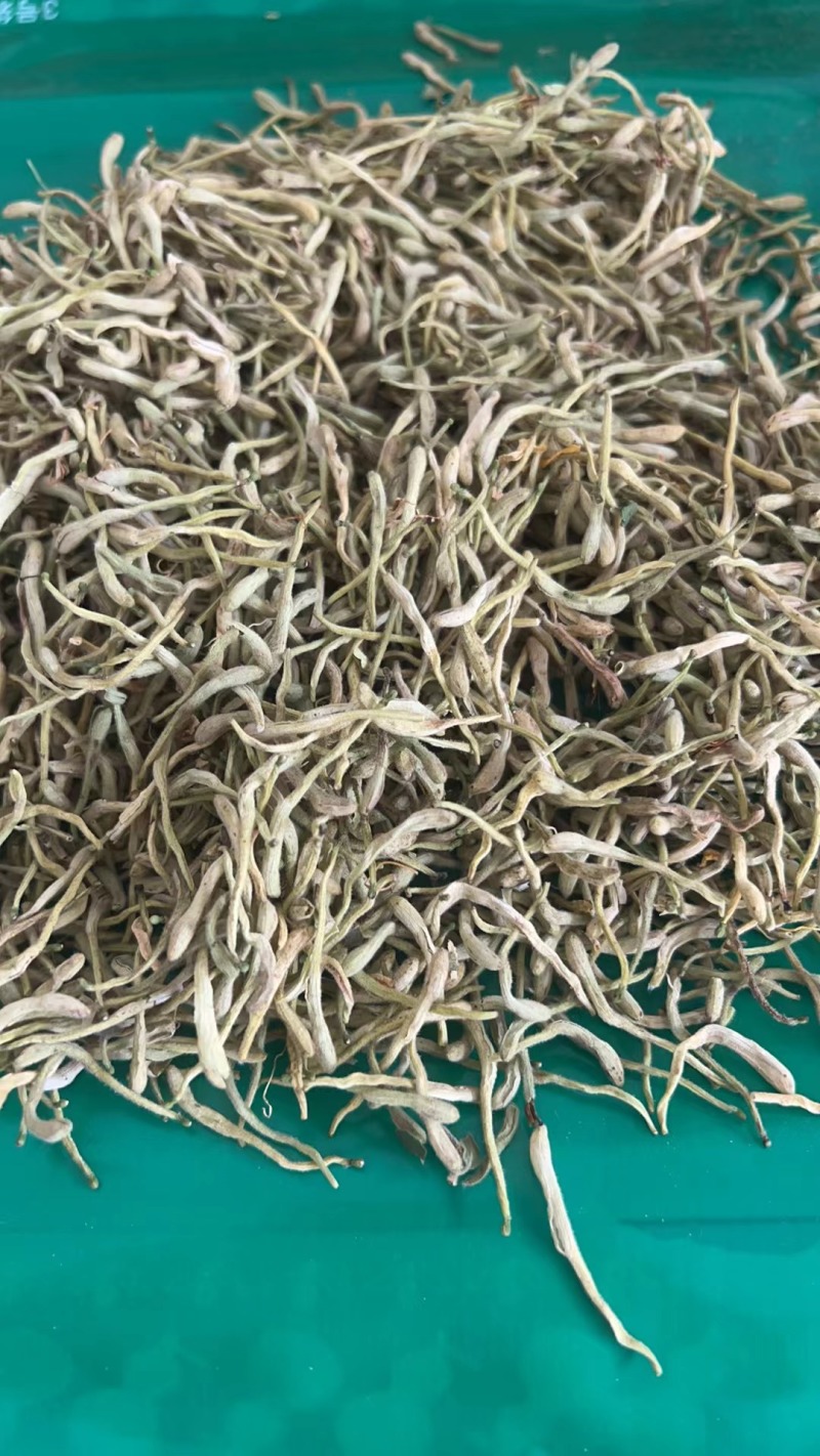 金银花规格齐全批发零售