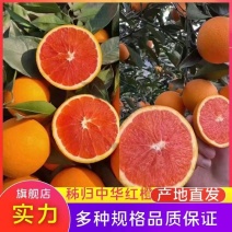 【实力】红橙湖北橙子中华红橙皮薄汁水充足电商市场