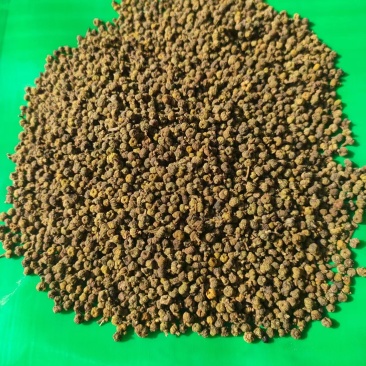 吴茱萸规格齐全批发零售