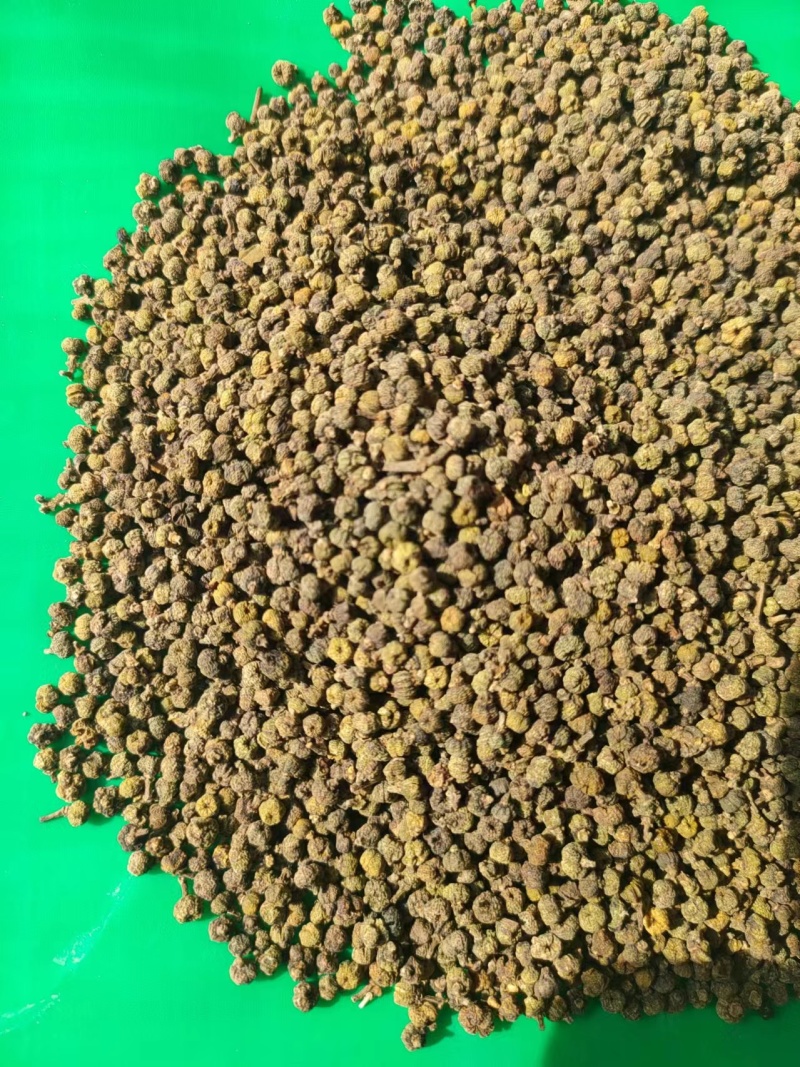吴茱萸规格齐全批发零售