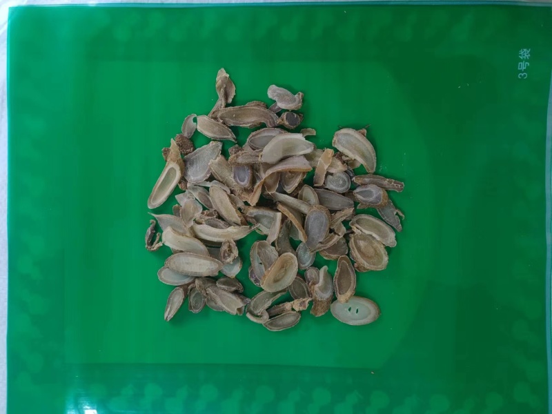 郁金规格齐全批发零售